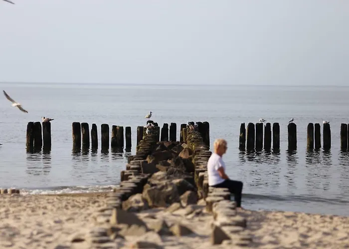 Gardenia Sea&sun Przy Plazy